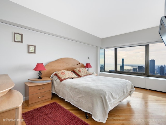 bedroom featuring wood-type flooring