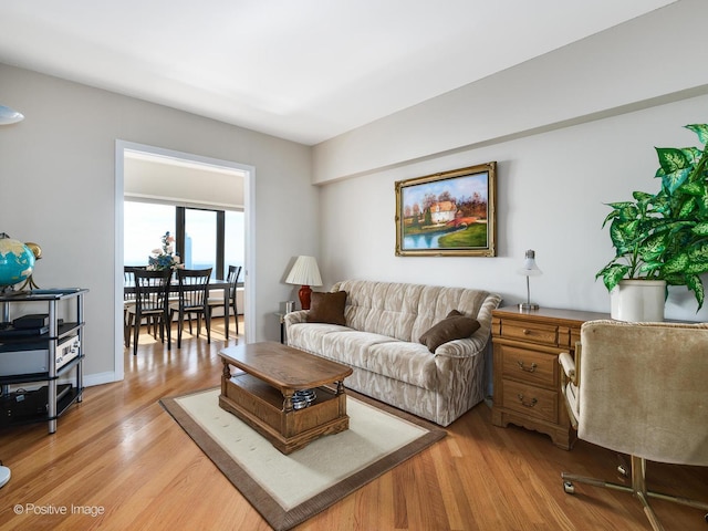 living room with light wood-type flooring