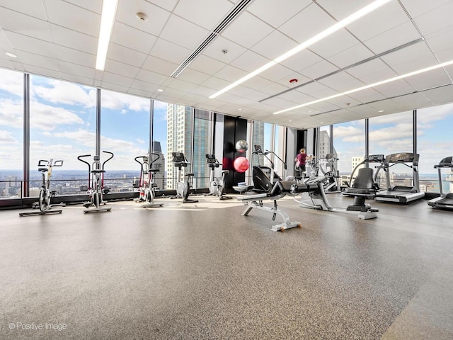 exercise room with plenty of natural light and expansive windows