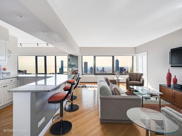 living room featuring light wood-type flooring