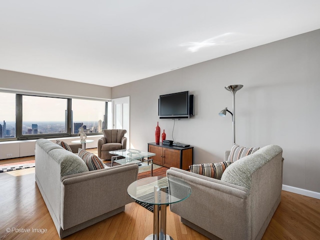 living room featuring hardwood / wood-style floors