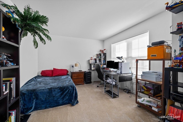 bedroom with light colored carpet