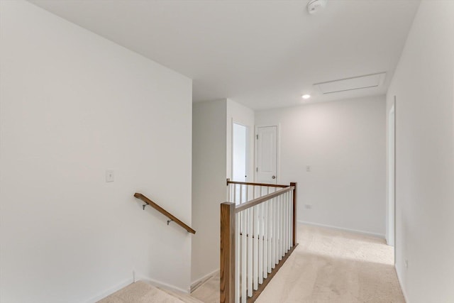 staircase with carpet floors