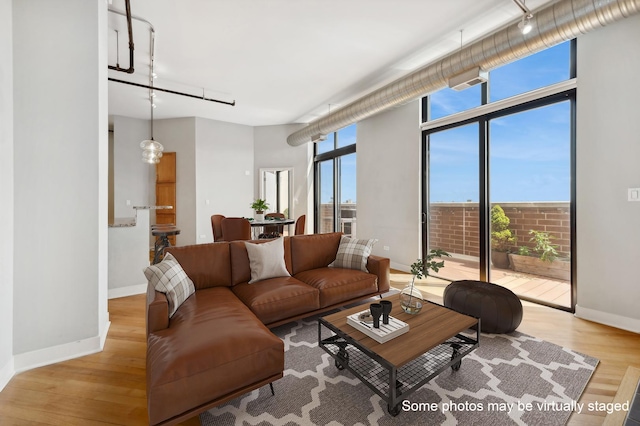 living room with light hardwood / wood-style floors and expansive windows