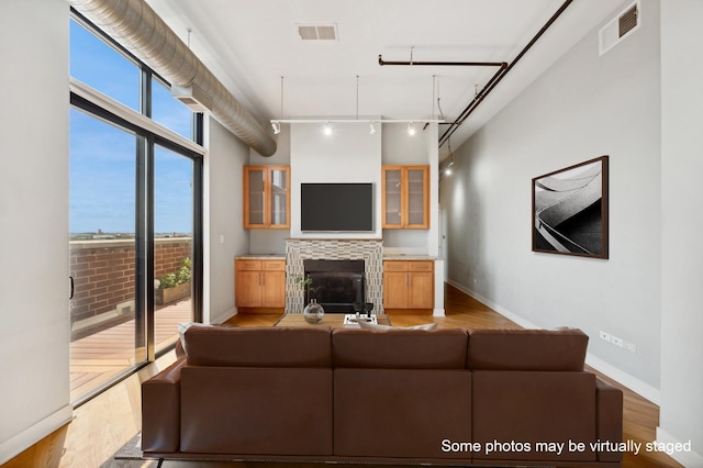 living room with light hardwood / wood-style floors