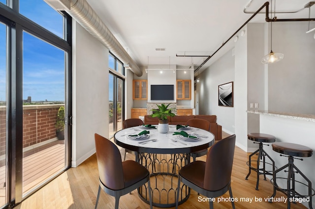 dining room with light hardwood / wood-style flooring