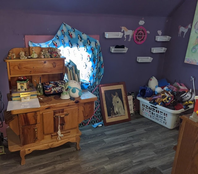 bedroom featuring dark hardwood / wood-style flooring