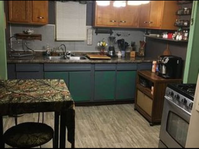 kitchen with light wood-type flooring, gas stove, and sink