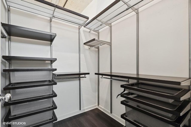 spacious closet with dark hardwood / wood-style flooring