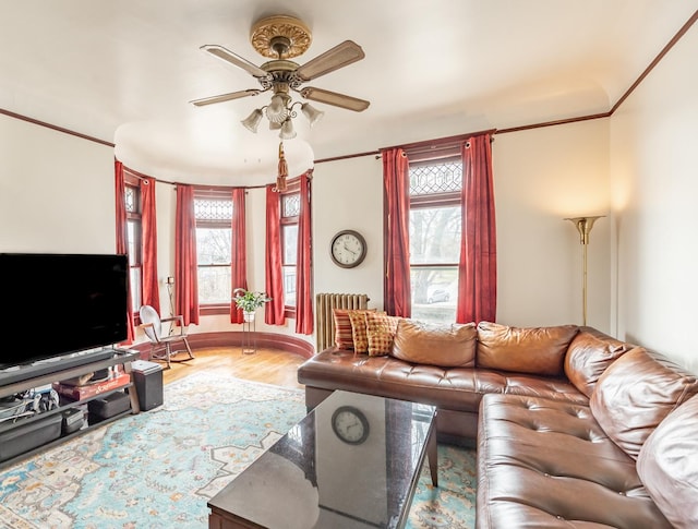 living area with radiator, wood finished floors, a healthy amount of sunlight, and a ceiling fan