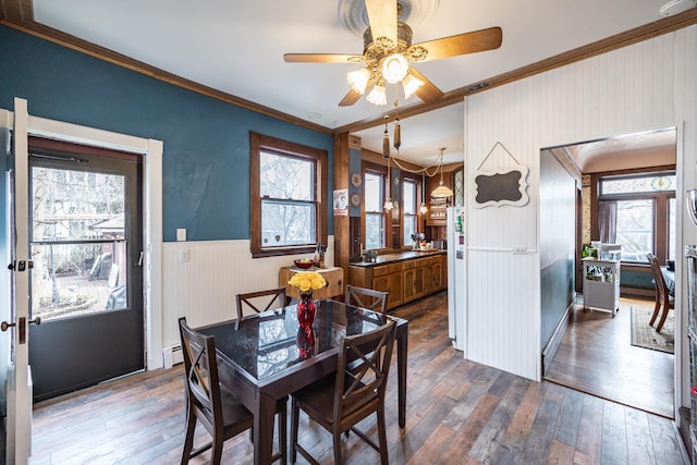 dining area featuring dark wood-type flooring, crown molding, a ceiling fan, and wainscoting
