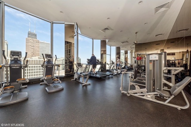 gym featuring a wealth of natural light and a wall of windows