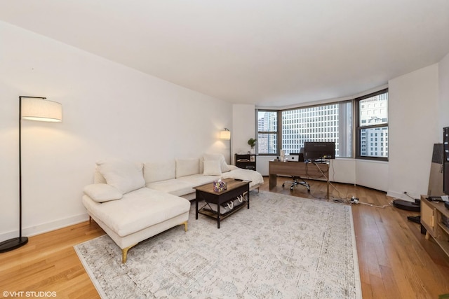 living room featuring wood-type flooring