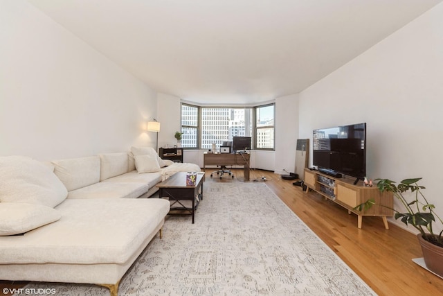 living room featuring hardwood / wood-style flooring