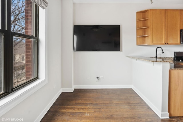 interior space with sink and dark wood-type flooring