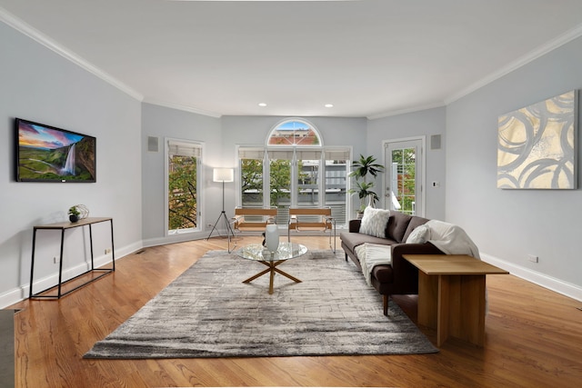 living room featuring hardwood / wood-style floors and crown molding