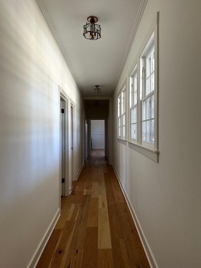 corridor with hardwood / wood-style flooring and ornamental molding