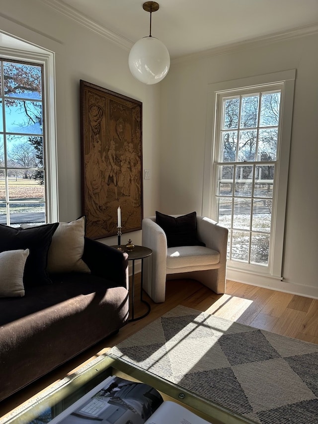 living room with crown molding and light hardwood / wood-style floors