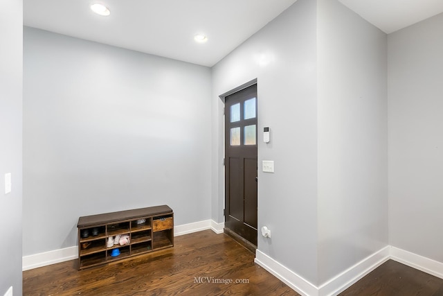 foyer entrance with dark hardwood / wood-style floors