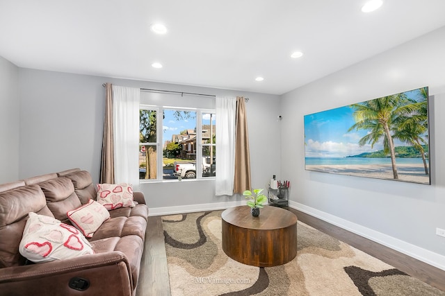 living room with dark wood-type flooring