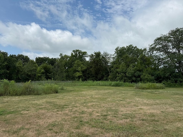 510 N Grove St, Farmer City, IL 61842 - photo 5