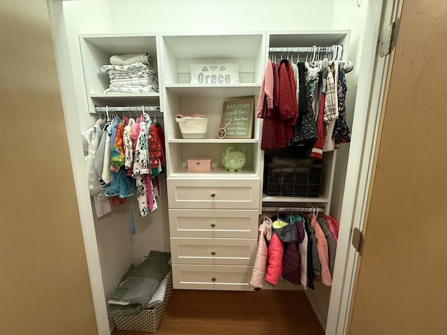 view of closet