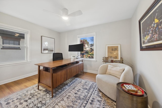 office area featuring light hardwood / wood-style floors and ceiling fan