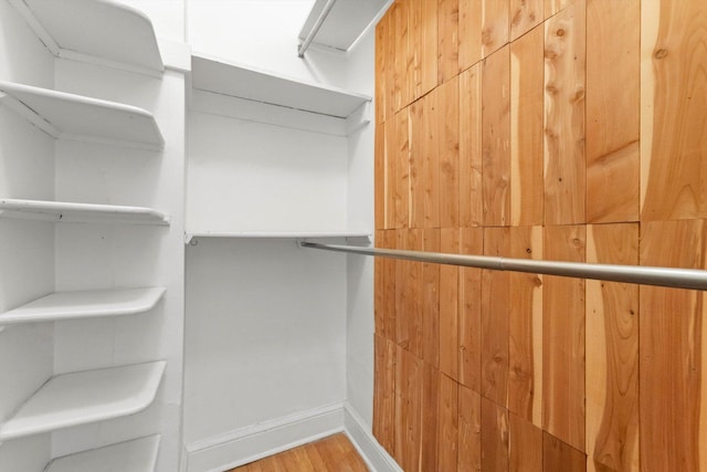 walk in closet with hardwood / wood-style floors