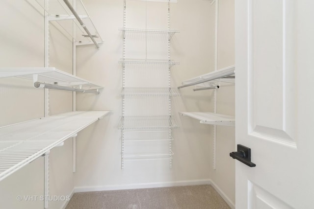 spacious closet with carpet floors