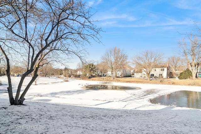 view of yard layered in snow