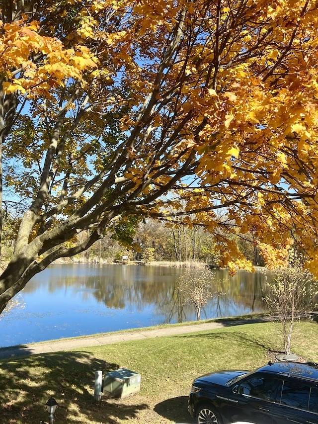 view of water feature