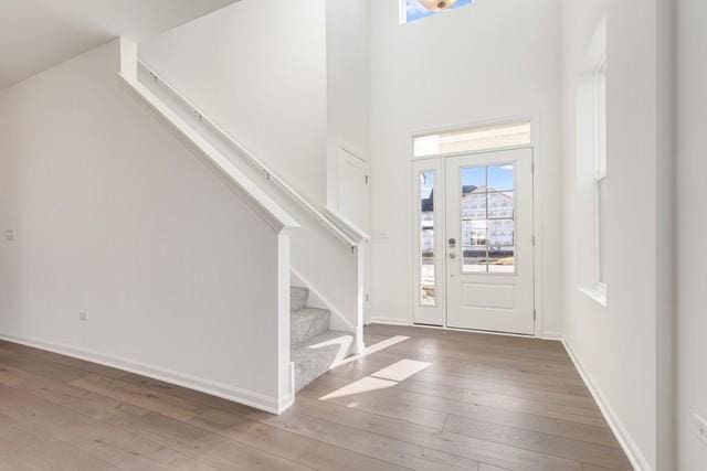 entrance foyer featuring wood-type flooring