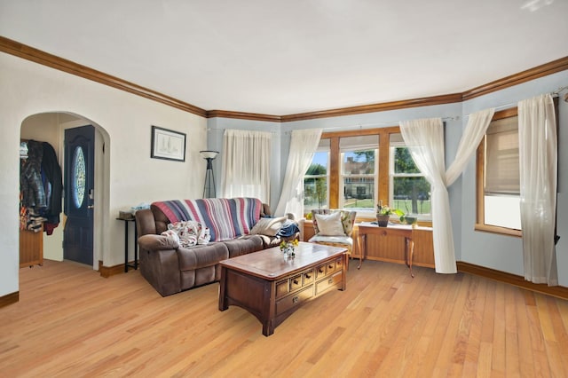 living room featuring crown molding and light hardwood / wood-style flooring