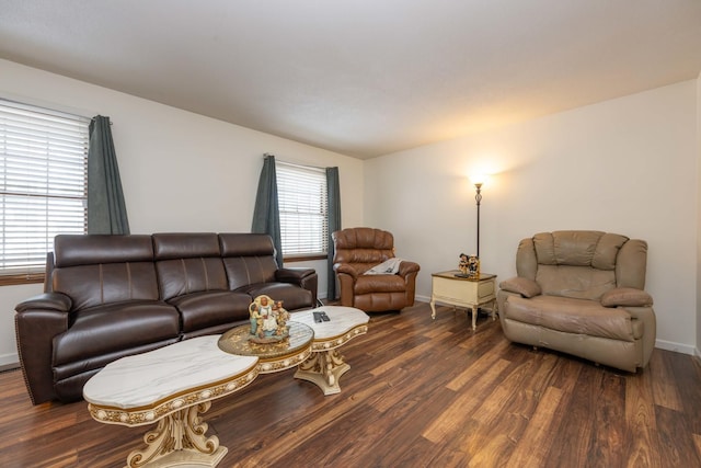 living room with dark hardwood / wood-style floors