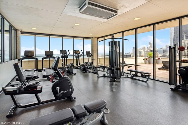 workout area with floor to ceiling windows and a healthy amount of sunlight