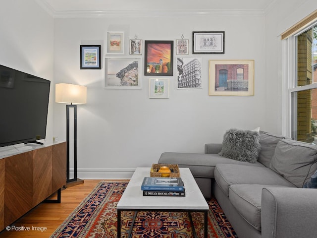 living room featuring ornamental molding and hardwood / wood-style floors