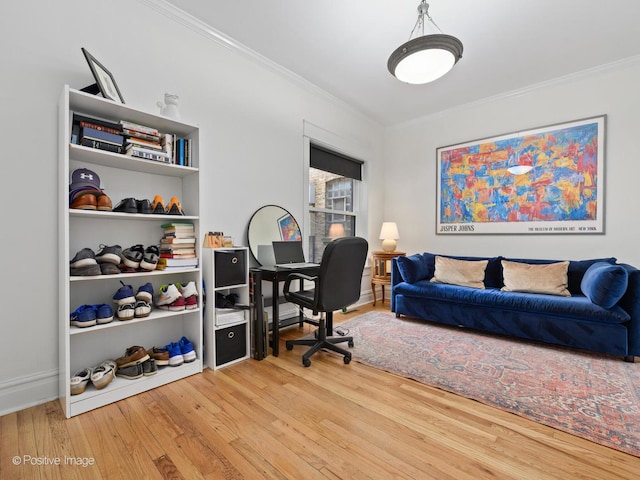 office featuring hardwood / wood-style floors and crown molding