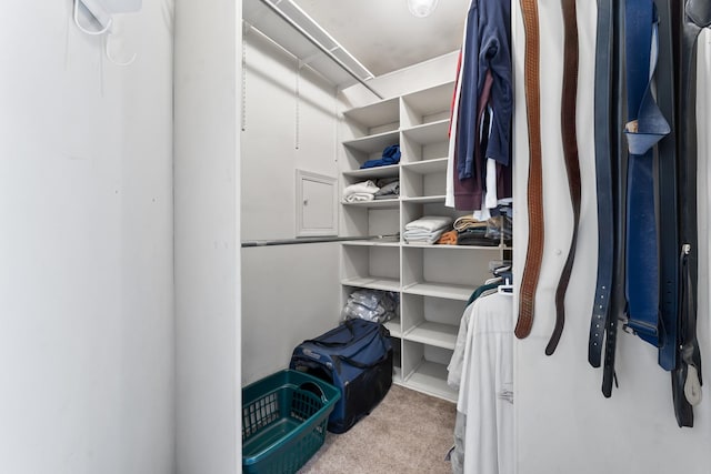 spacious closet with light colored carpet