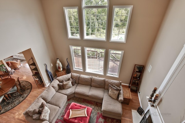 living room with a high ceiling, hardwood / wood-style flooring, and plenty of natural light