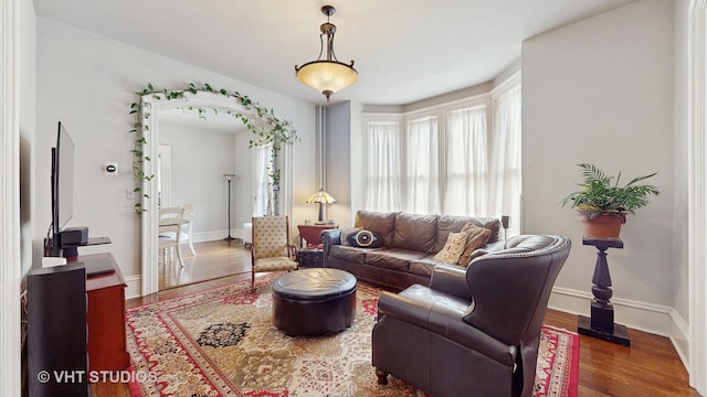 living room with dark hardwood / wood-style floors