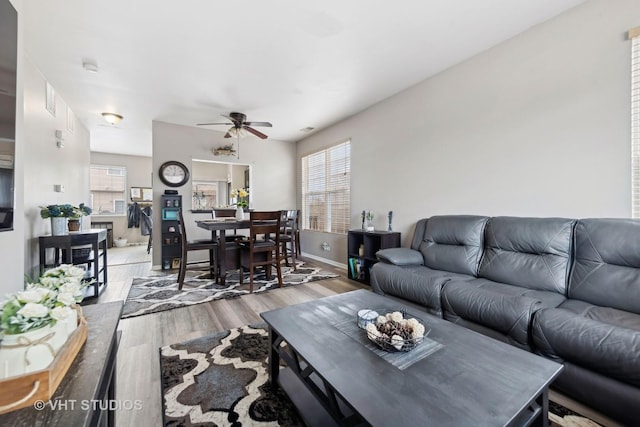 living room with ceiling fan and light wood-type flooring