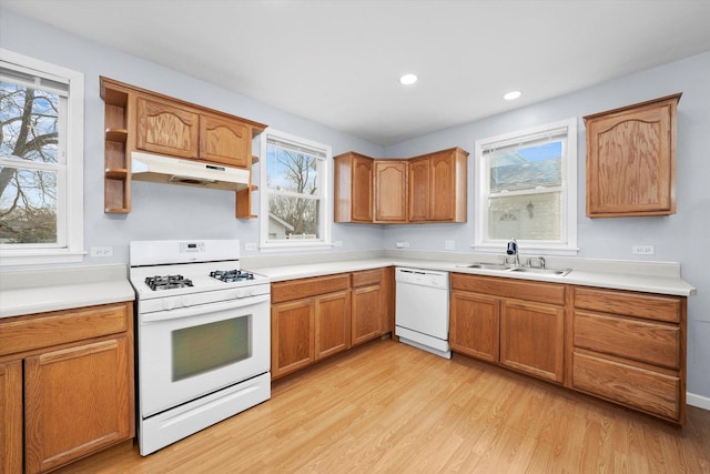 kitchen featuring sink, a healthy amount of sunlight, white appliances, and light wood-type flooring