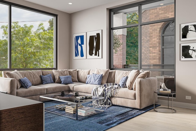 living room featuring wood finished floors, a wealth of natural light, and baseboards