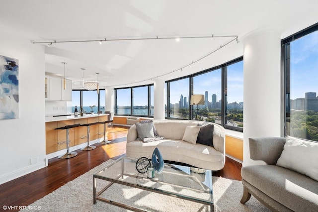 living room with a wealth of natural light, track lighting, and dark hardwood / wood-style floors