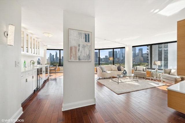 living room with sink, dark wood-type flooring, and a wall of windows