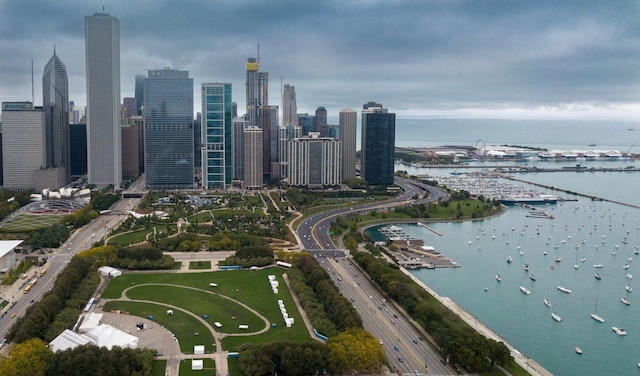 bird's eye view featuring a water view