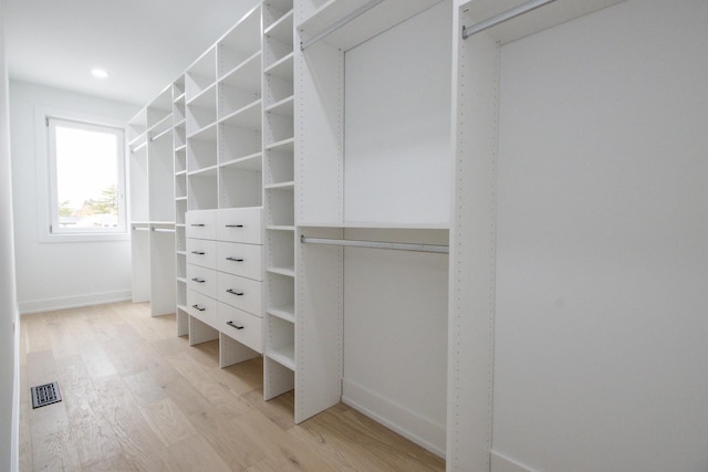 walk in closet with light wood-type flooring