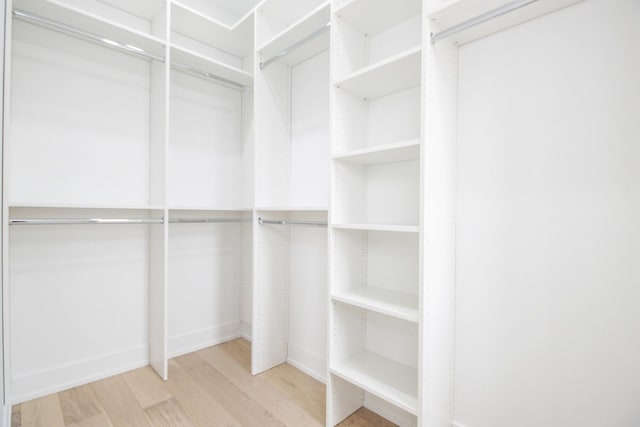 spacious closet with hardwood / wood-style floors