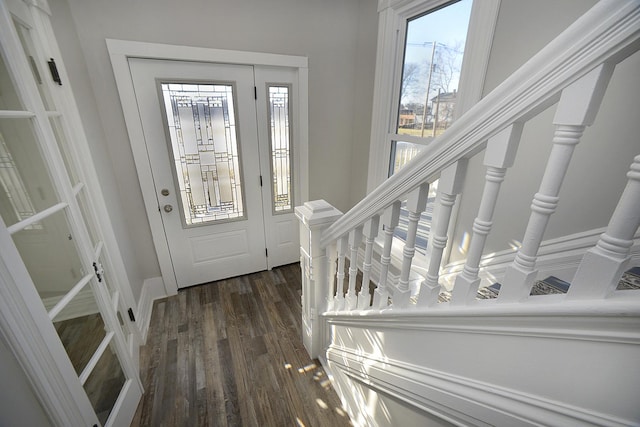 foyer entrance with dark hardwood / wood-style flooring