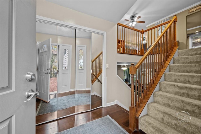 entryway with ceiling fan, dark hardwood / wood-style flooring, and ornamental molding